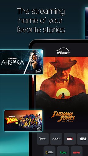 لقطة شاشة من تطبيق Disney+