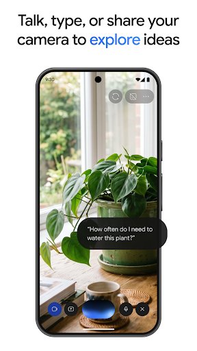 لقطة شاشة من تطبيق Google Gemini