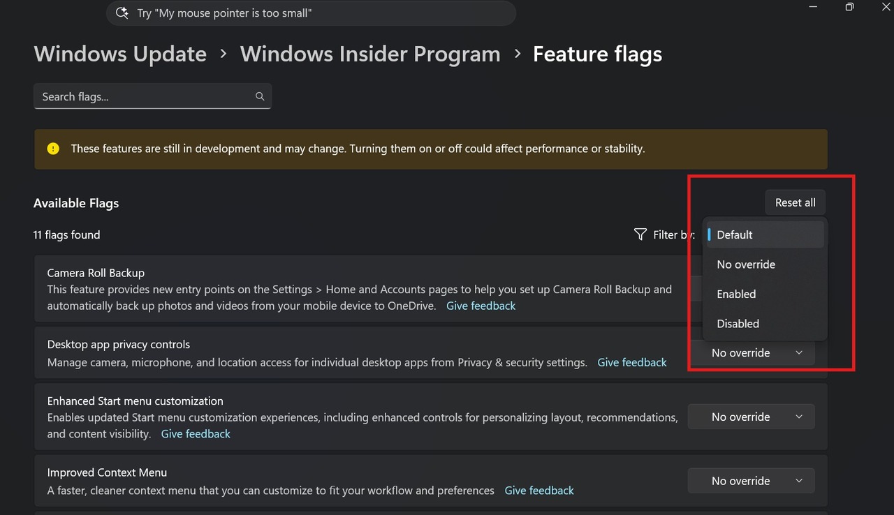 لقطة شاشة تعرض إعدادات Windows Insider Program وميزات Windows 11 التجريبية