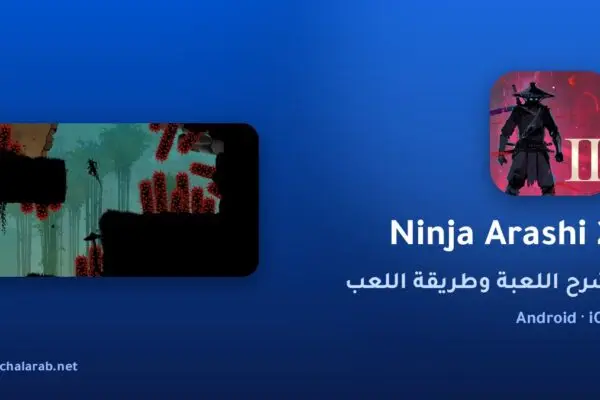 لعبة Ninja Arashi 2